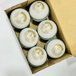 Whitedot Dot 1.0 White Cricket Leather Ball - 20 Over