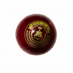 Whitedot Dot 1.0 Red Cricket Leather Ball - 20 Over Whitedot Dot 1.0 Red Cricket Leather Ball - 20 Over