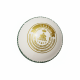 Whitedot Teal White Cricket Leather Ball - 10 Over