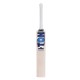 SS Ton Player Edition English Willow Cricket Bat SS Ton Player Edition English Willow Cricket Bat