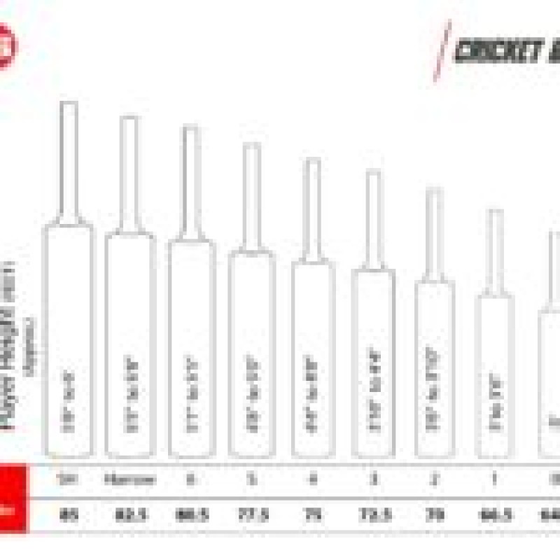 SS Ton Legend English Willow Cricket Bat SS Ton Legend English Willow Cricket Bat