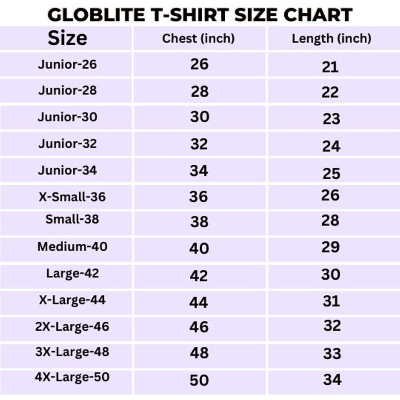 Lucknow Super Giants IPL Replica jersey 2024 (LSG 2024 With Name Personalization)