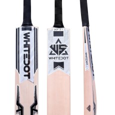 Kashmir Willow Bat Kashmir Willow Bat