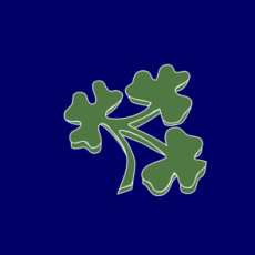 Ireland Cricket Fan Jersey Ireland Cricket Fan Jersey