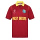 West Indies T20 World Cup 2019 Half Sleeves Cricket Fan Jersey - 100% Dryfit Polyester - With Name Personalization West Indies T20 World Cup 2019 Half Sleeves Cricket Fan Jersey - 100% Dryfit Polyester - With Name Personalization