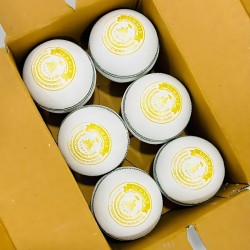 Whitedot Summer White Cricket Leather Ball - 50 Over Plus