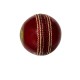 Whitedot Teal Red Cricket Leather Ball - 10 Over Whitedot Teal Red Cricket Leather Ball - 10 Over