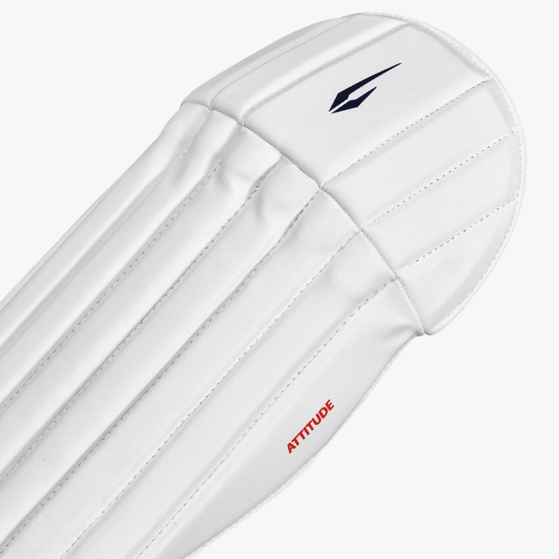 DSC Attitude Wicket Keeping Leg Guard DSC Attitude Wicket Keeping Leg Guard