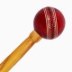 DSC Bat Mallet With Leather Ball