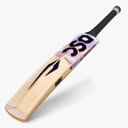 DSC Condor Aviator Kashmir Willow Bat