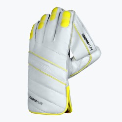 DSC Condor Flite Wicket Keeping Gloves DSC Condor Flite Wicket Keeping Gloves