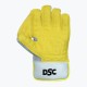DSC Condor Flite Wicket Keeping Gloves, Youth DSC Condor Flite Wicket Keeping Gloves, Youth