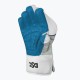 DSC Condor Glider Wicket Keeping Gloves, Youth