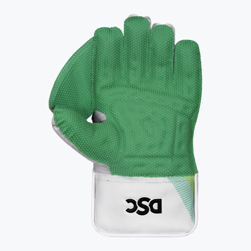DSC Condor Motion Wicket Keeping Gloves, Boys