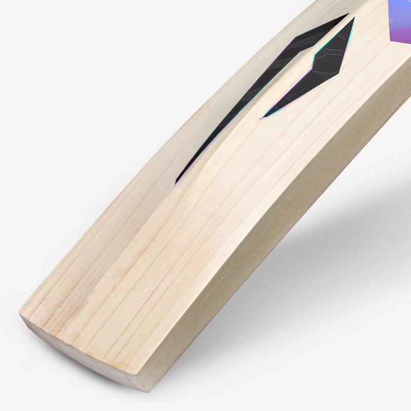 DSC Cynos 2020 English Willow Bat, 3