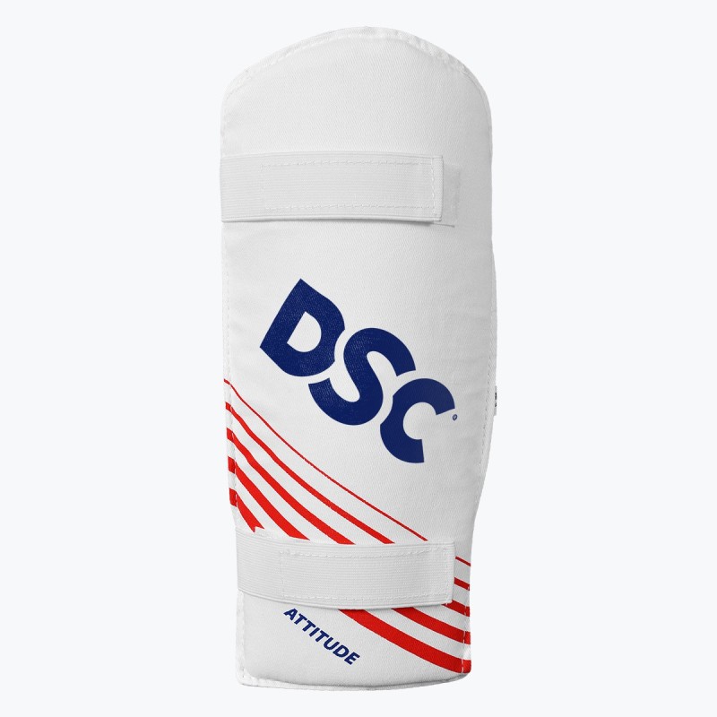 DSC Economy Kashmir Willow Cricket Kit