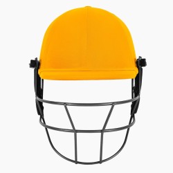 DSC Fort 44 Lite Titanium Cricket Helmet - Custom, Yellow DSC Fort 44 Lite Titanium Cricket Helmet - Custom, Yellow