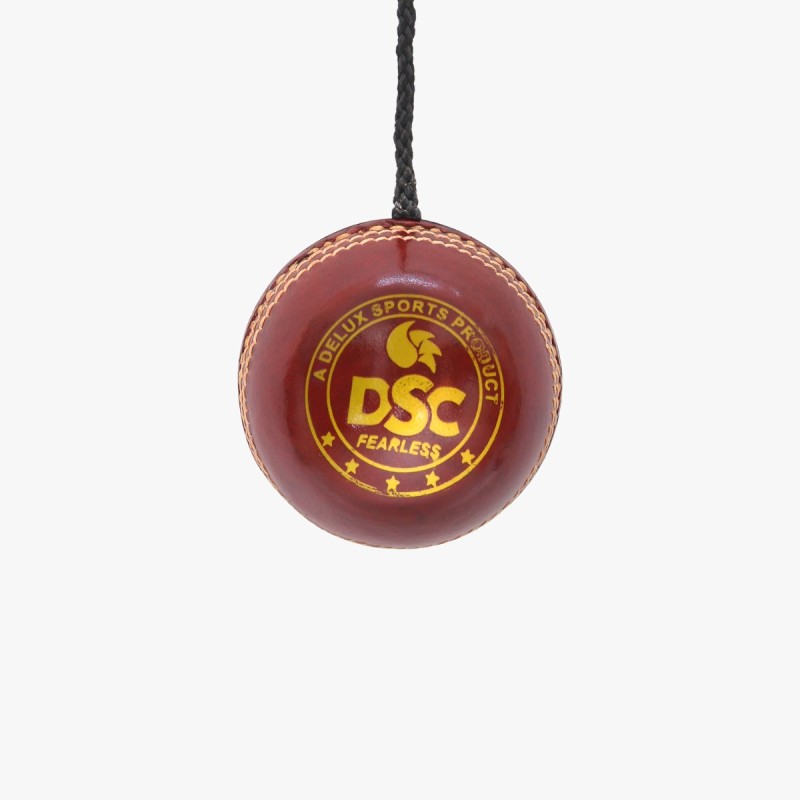 DSC Hanging Leather Ball DSC Hanging Leather Ball