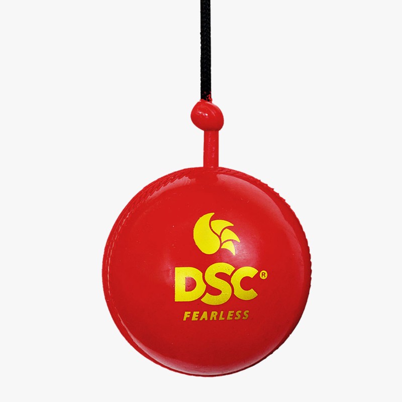 DSC Hanging Synthetic Ball (6 Balls) DSC Hanging Synthetic Ball (6 Balls)