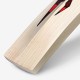 DSC Intense Assault English Willow Cricket Bat, 5