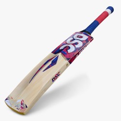 DSC Intense Crush Kashmir Willow Bat
