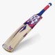 DSC Intense Spirit Kashmir Willow Bat DSC Intense Spirit Kashmir Willow Bat