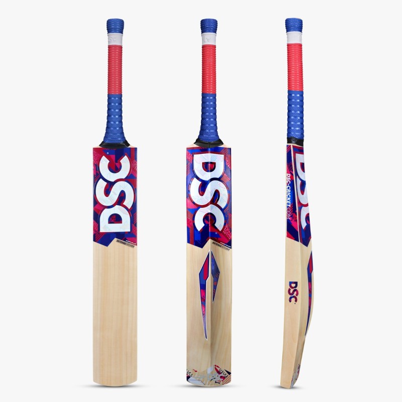 DSC Intense Storm Kashmir Willow Bat