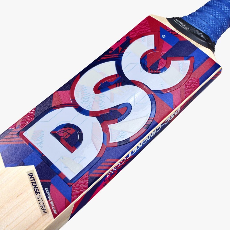 DSC Intense Storm Kashmir Willow Bat