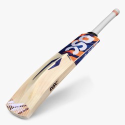 DSC Krunch 33 Kashmir Willow Bat