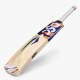 DSC Krunch 44 Kashmir Willow Bat