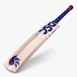 DSC LeedZ English Willow Bat (Made in England) DSC LeedZ English Willow Bat (Made in England)