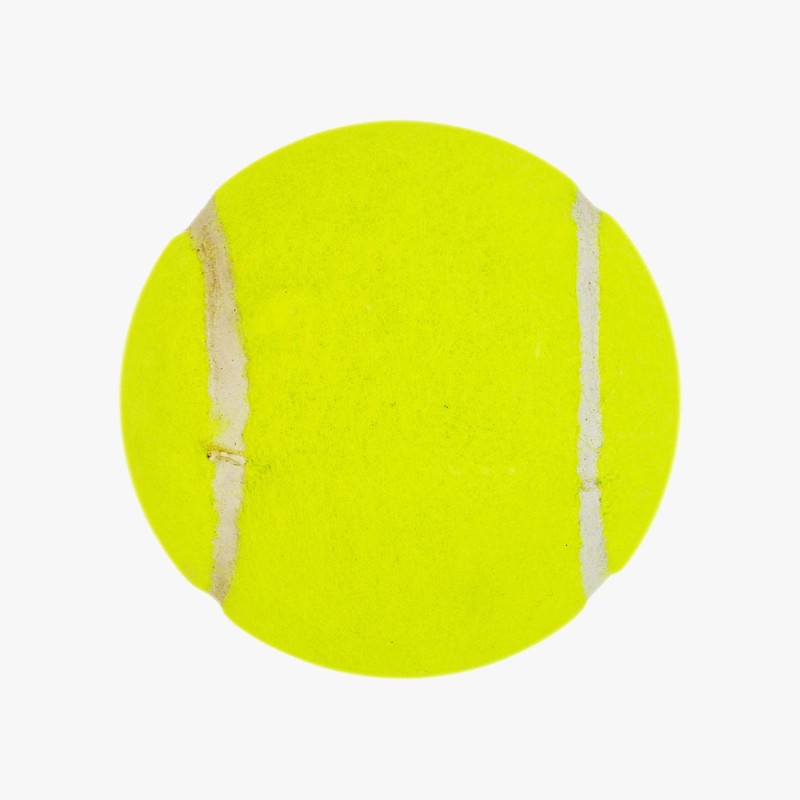 DSC Nitro Heavy Tennis Ball (12 Balls), Yellow DSC Nitro Heavy Tennis Ball (12 Balls), Yellow