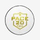DSC Pace 20 Leather Ball, White DSC Pace 20 Leather Ball, White