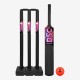 DSC Panther Cricket Set (Black, Junior), Size 4 DSC Panther Cricket Set (Black, Junior), Size 4