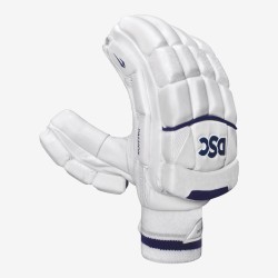DSC Passion Batting Gloves
