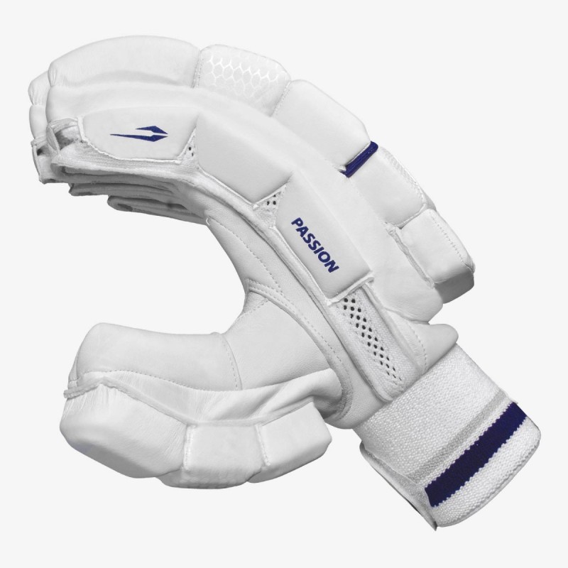 DSC Passion Batting Gloves DSC Passion Batting Gloves