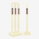 DSC Phoenix Cricket Set (White, Junior), Size 2 DSC Phoenix Cricket Set (White, Junior), Size 2