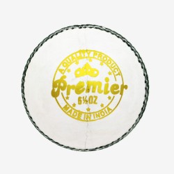DSC Premier Leather Ball