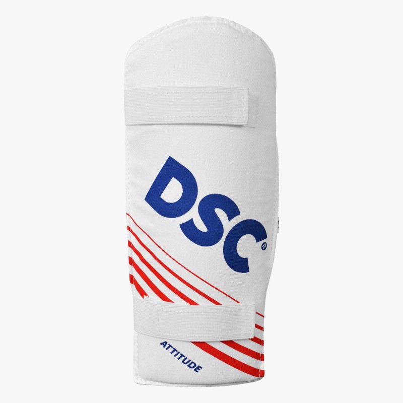 DSC Premium Kashmir Willow Cricket Kit DSC Premium Kashmir Willow Cricket Kit