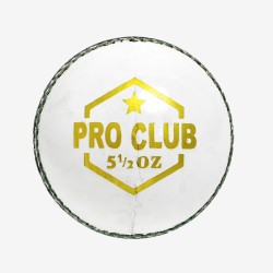 DSC Pro Club Leather Ball