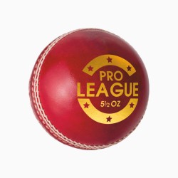 DSC Pro League Leather Ball DSC Pro League Leather Ball