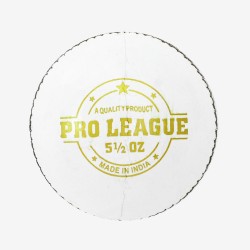 DSC Pro League Leather Ball