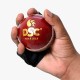 DSC Protakt Fielding Gloves, Mens