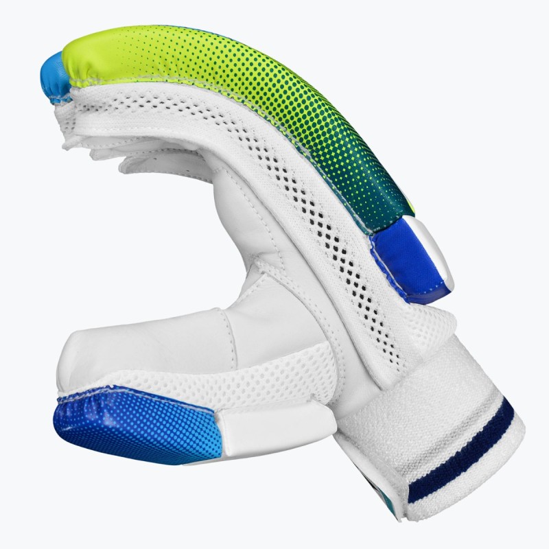 DSC Rage Batting Gloves (Green/Blue) DSC Rage Batting Gloves (Green/Blue)