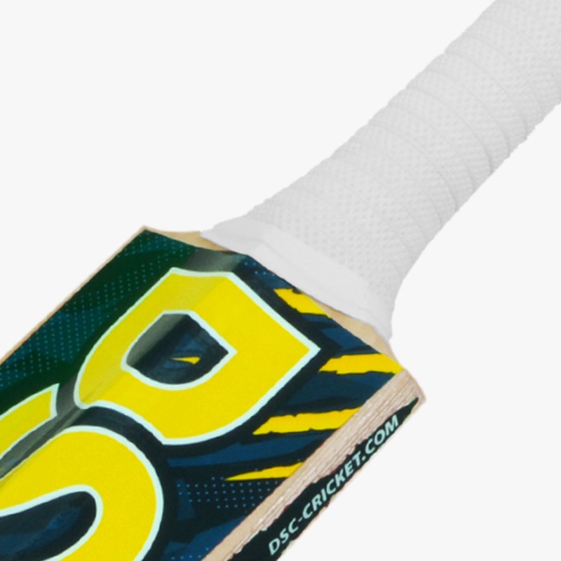 DSC Roar Blast Kashmir Willow Bat, 4 DSC Roar Blast Kashmir Willow Bat, 4