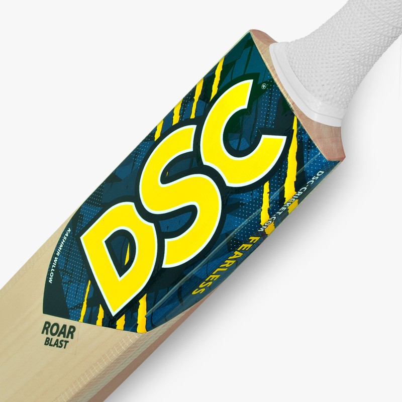 DSC Roar Blast Kashmir Willow Bat, 4 DSC Roar Blast Kashmir Willow Bat, 4