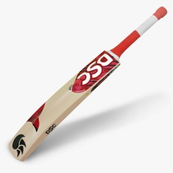 DSC Roar Terra Kashmir Willow Bat DSC Roar Terra Kashmir Willow Bat