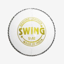 DSC Swing Leather Ball