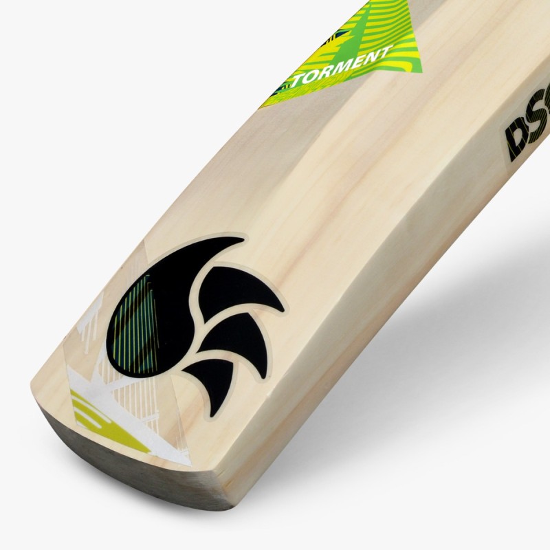 DSC Torment LE Incredible Willow Bat
