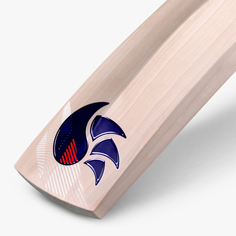 DSC WaleZ English Willow Bat (Made in England), Mens DSC WaleZ English Willow Bat (Made in England), Mens